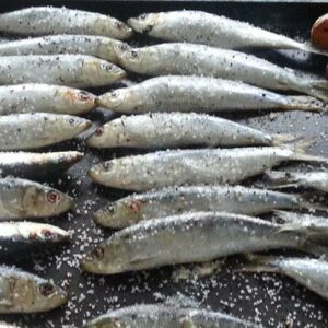 Les sardines de Saint-Gilles-Croix-de-Vie