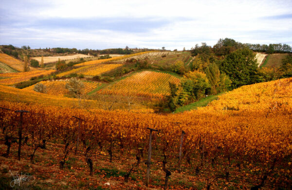 Moissac : Grand site Midi Pyrénées – Image 2