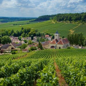 L'Aube, la Champagne au naturel