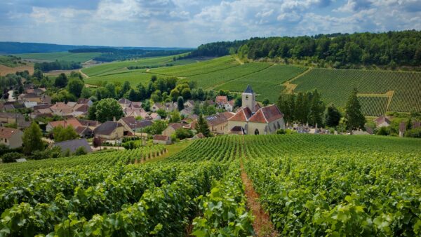 L'Aube, la Champagne au naturel