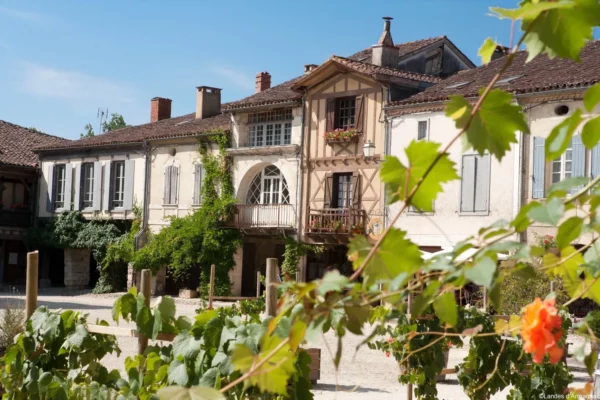 Pyrénées, les Landes d’Armagnac – Image 7