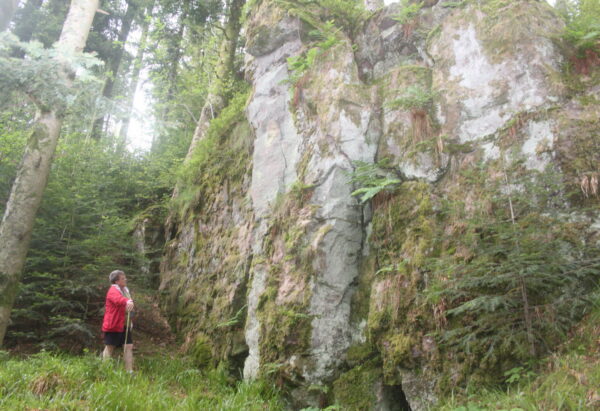 Les Vosges Méridionales – Image 2