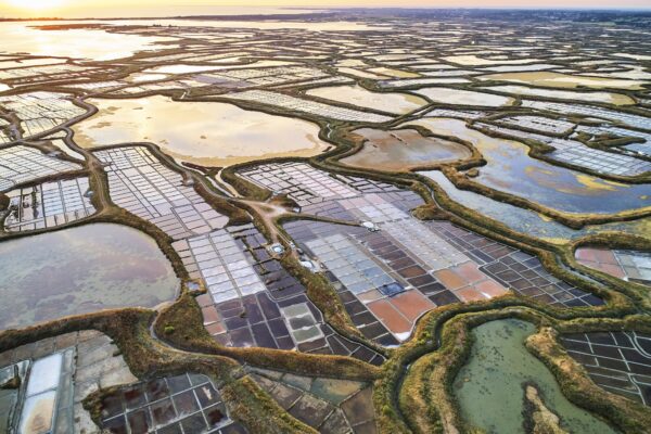 Les marais salants de Guérande – Image 3