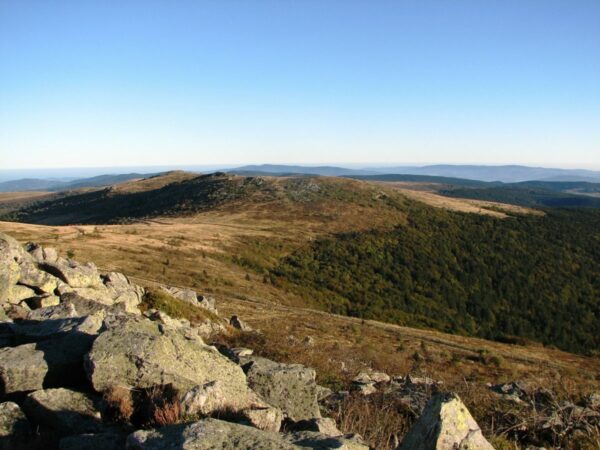 Les Monts du Forez – Image 6