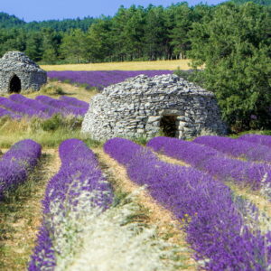 Provence & Dauphiné