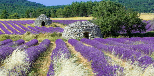 Provence & Dauphiné