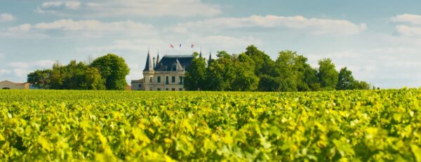 L’aire géographique de l’AOC Margaux – Image 3
