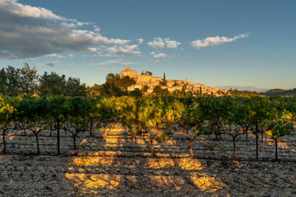 Provence & Dauphiné – Image 2