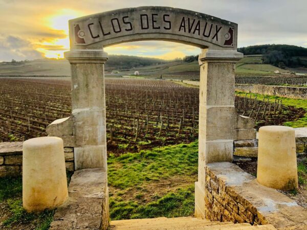 Le Pays de Bresse – Image 2