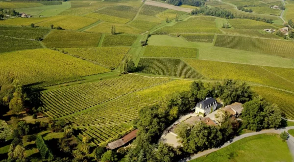 L’aire géographique de l’AOC Margaux – Image 5