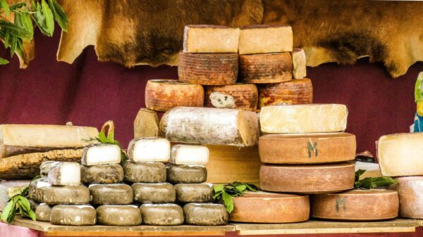 Route des fromages AOP d'Auvergne – Image 5
