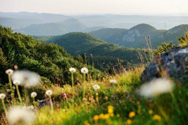 Le Haut Jura – Image 3