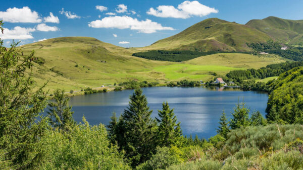Route des fromages AOP d'Auvergne – Image 4