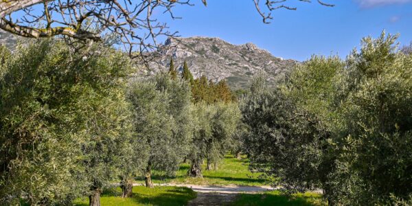 Provence & Dauphiné – Image 7
