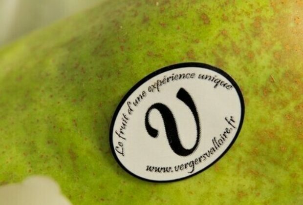 Poire de la Valloire