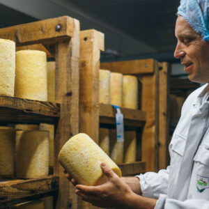 La Fourme de Montbrison